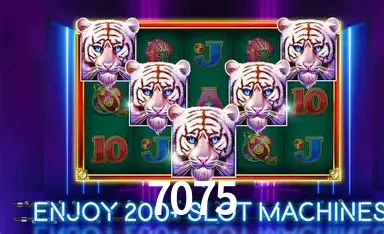 7075 bet